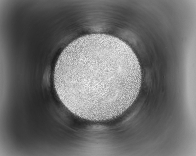 X0000088150590200706111445