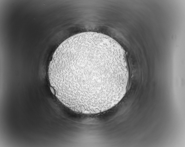 X0000088150593200706111445