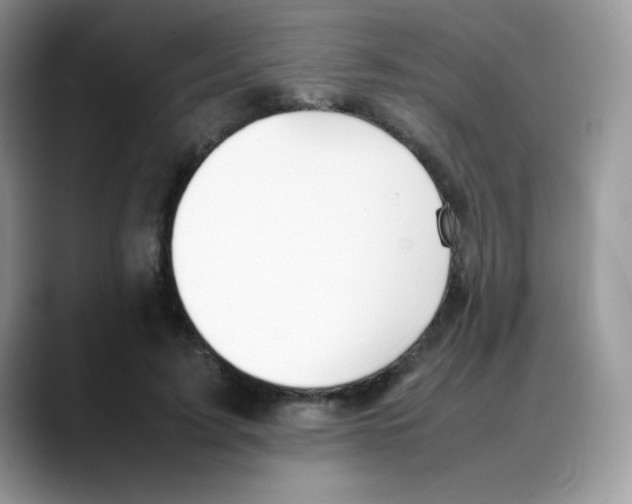 X0000088150595200706111445