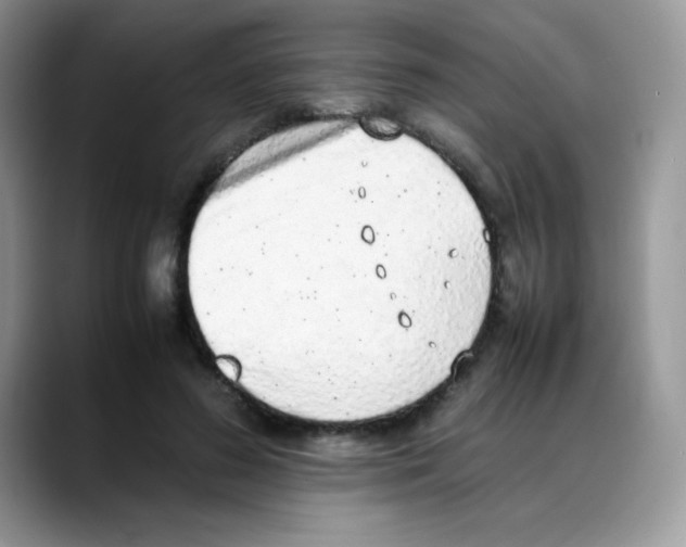 X0000088150596200706111445