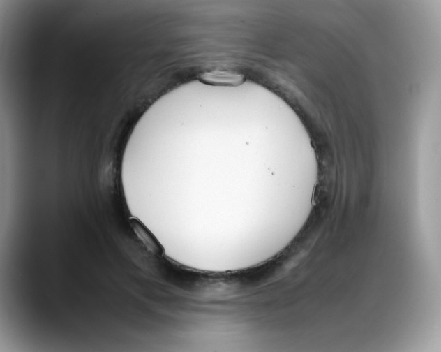 X0000088150597200706111445