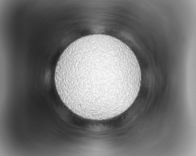 X0000088150598200706111445