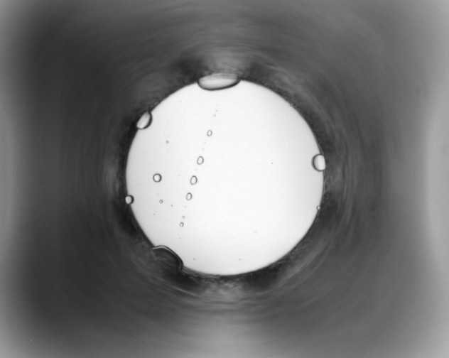 X0000088150599200706111445