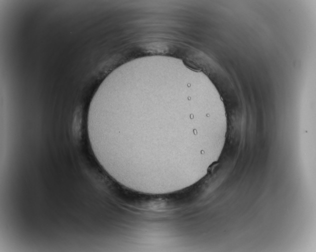 X0000088150600200706111445