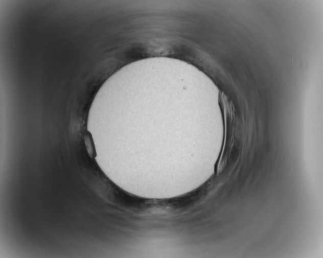 X0000088150601200706111445