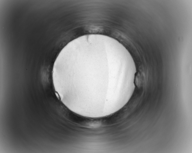 X0000088150604200706111445