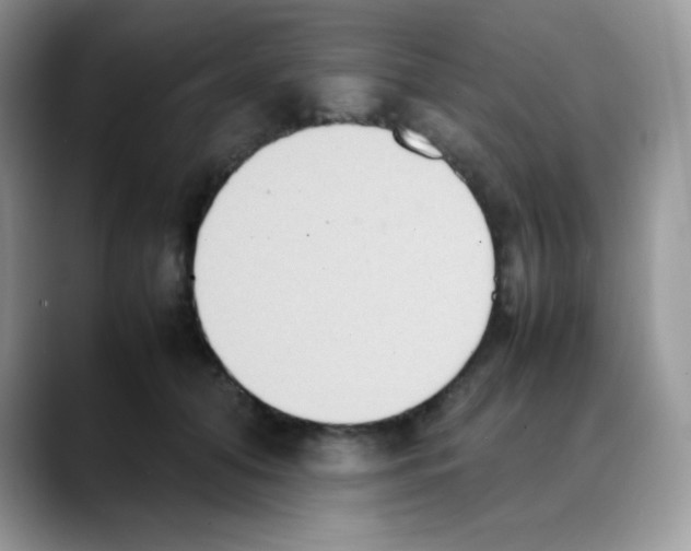 X0000088150608200706111445