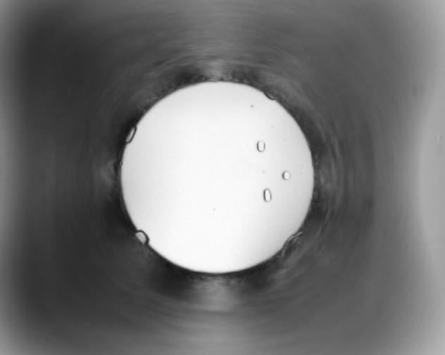 X0000088150611200706111445