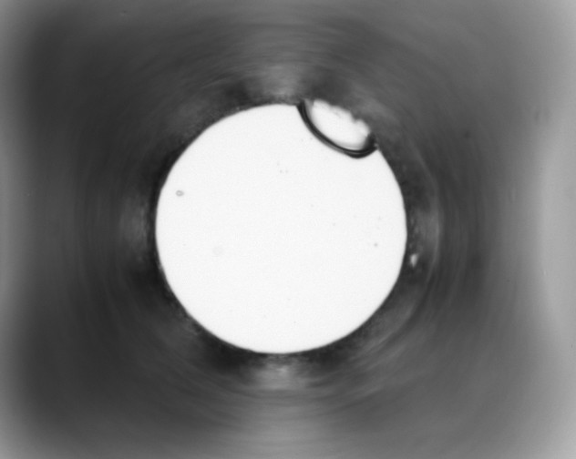 X0000088150612200706111445