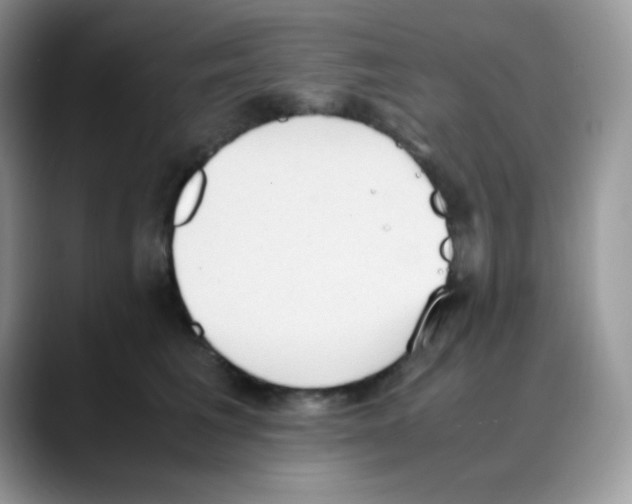 X0000088150613200706111445