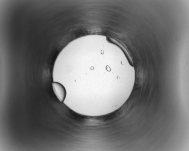 X0000088150614200706111445