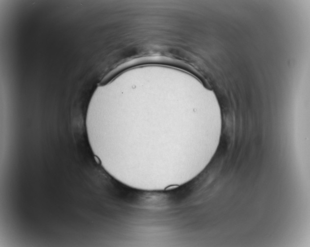 X0000088150617200706111444