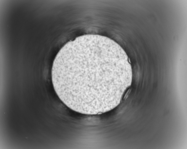 X0000088150619200706111444