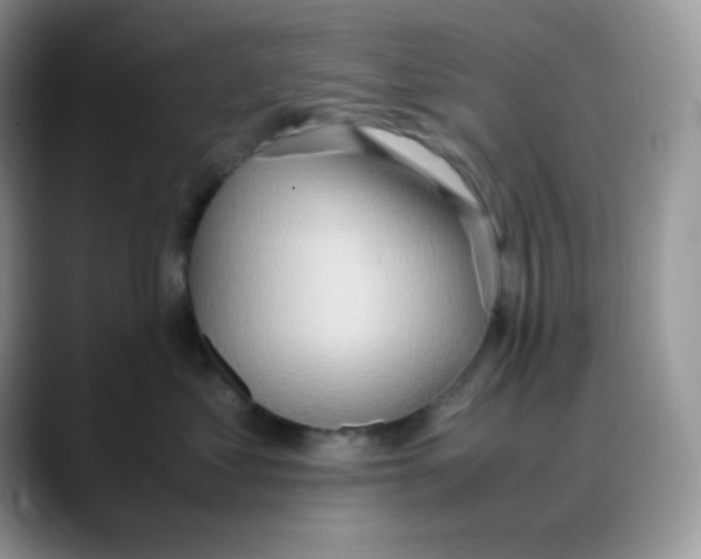 X0000088150621200706111444