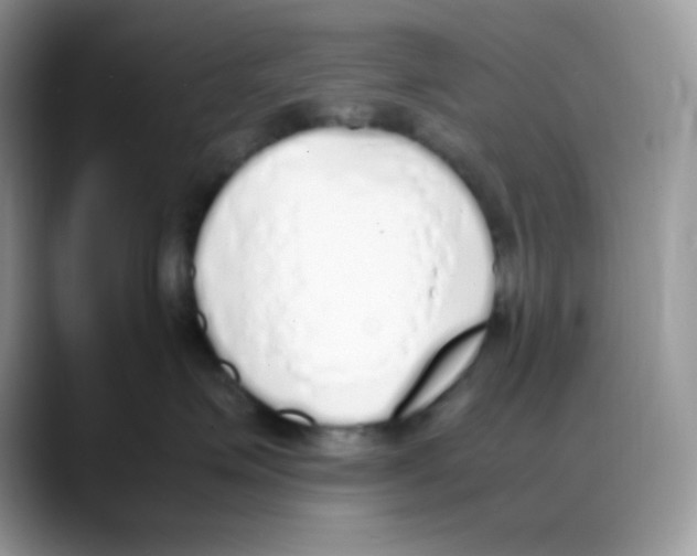 X0000088150623200706111444