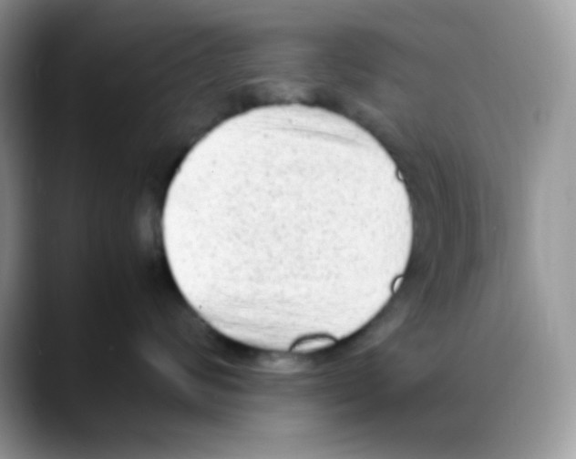 X0000088150624200706111444