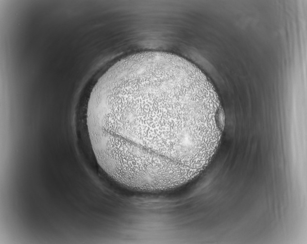 X0000088150626200706111444