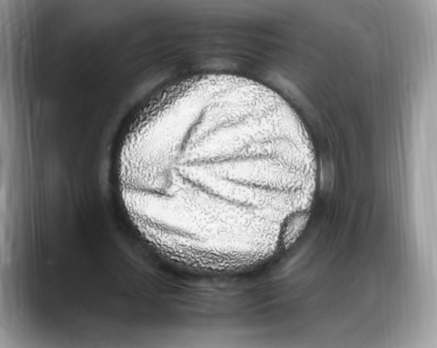 X0000088150627200706111444