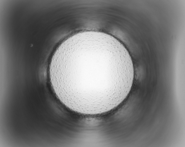 X0000088150632200706111444