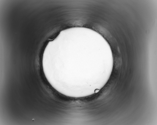 X0000088150634200706111444