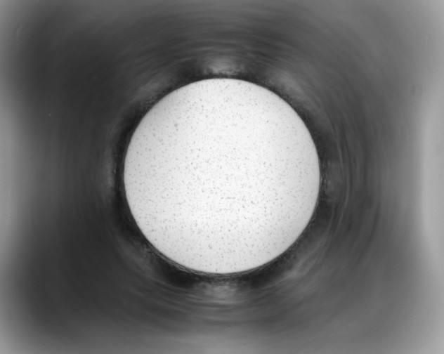 X0000088150639200706111444