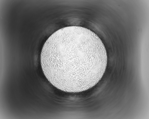 X0000088150641200706111444