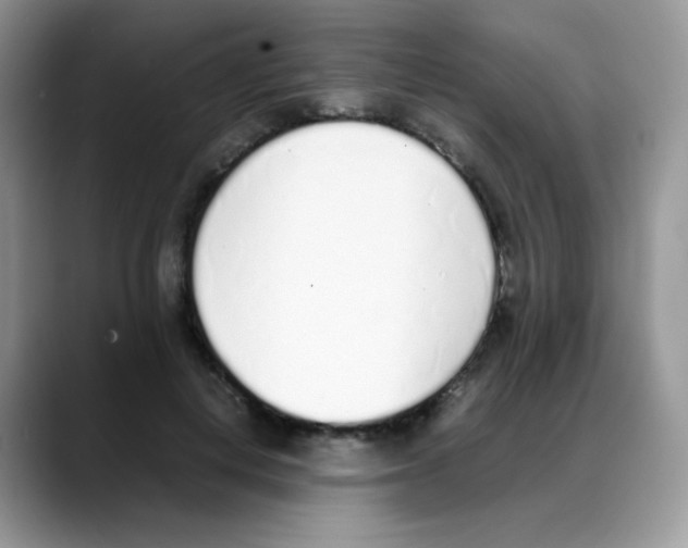 X0000088150648200706111444