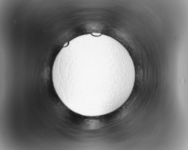 X0000088150649200706111444