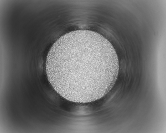 X0000088150650200706111444