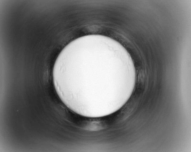 X0000088150651200706111444