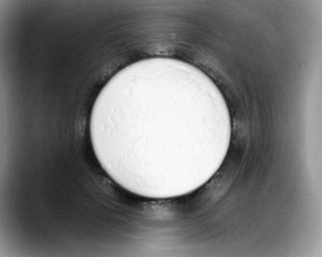 X0000088150652200706111444