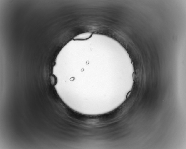 X0000088150653200706111444