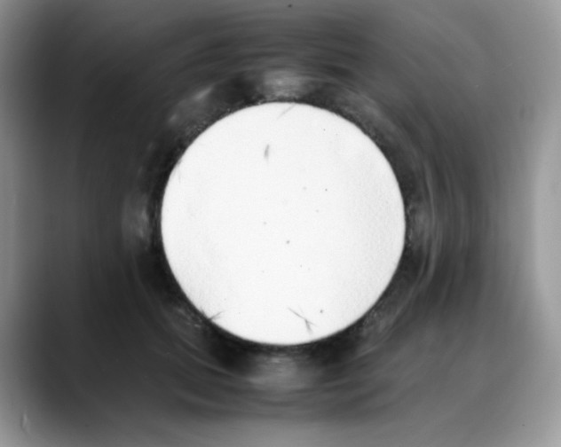 X0000088150655200706111444