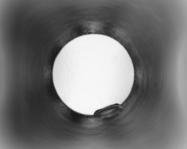 X0000088150657200706111444