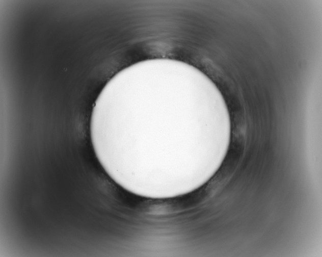 X0000088150658200706111444