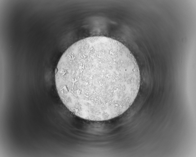 X0000088150659200706111444