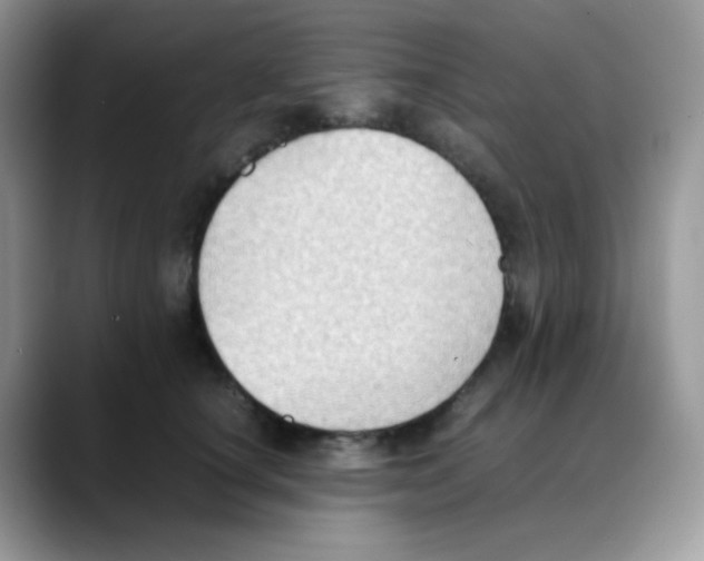 X0000088150660200706111444