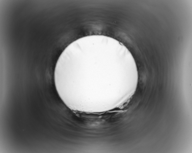 X0000088150661200706111444