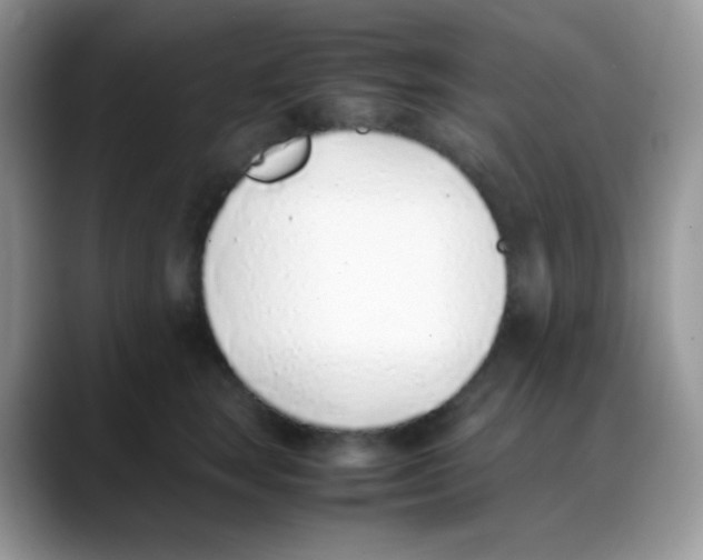 X0000088150663200706111444