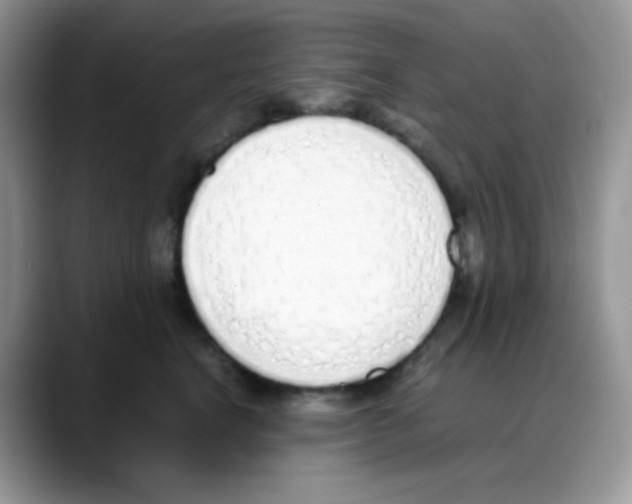 X0000088150664200706111444