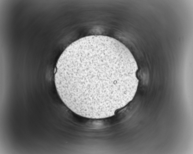 X0000088150665200706111444