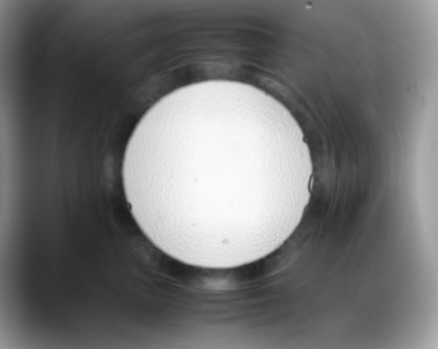 X0000088150667200706111444