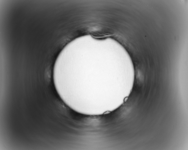 X0000088150668200706111444