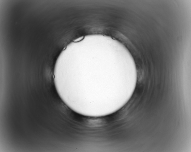 X0000088150669200706111444