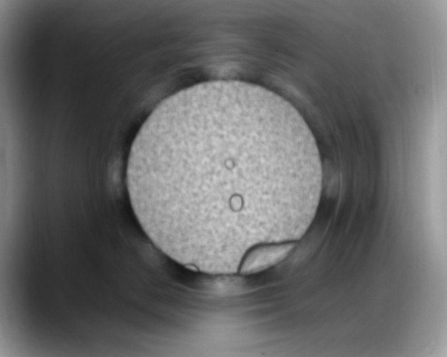 X0000088150670200706111444