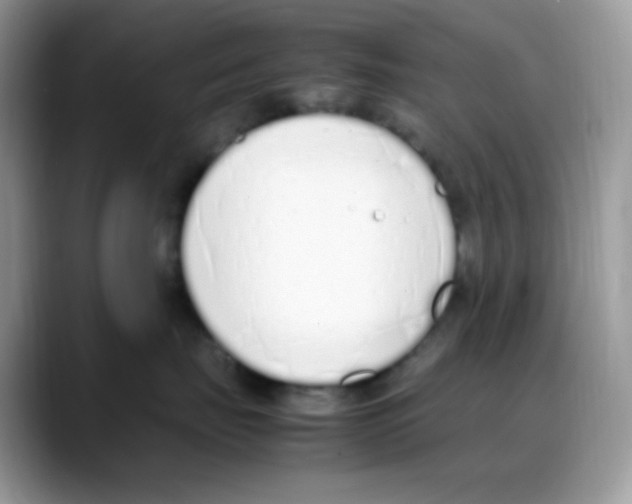 X0000088150671200706111444