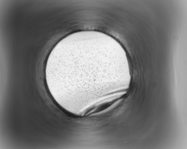 X0000088150673200706111444