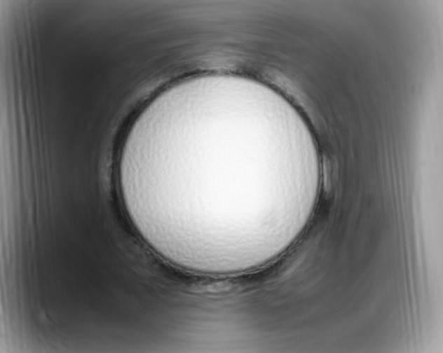 X0000088150675200706111444