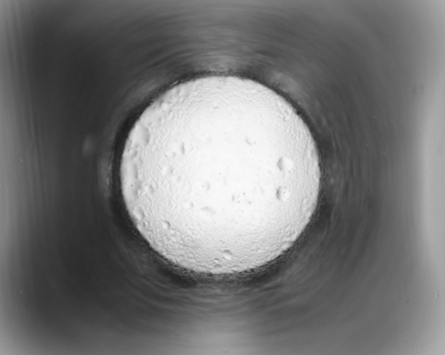 X0000088150679200706111444