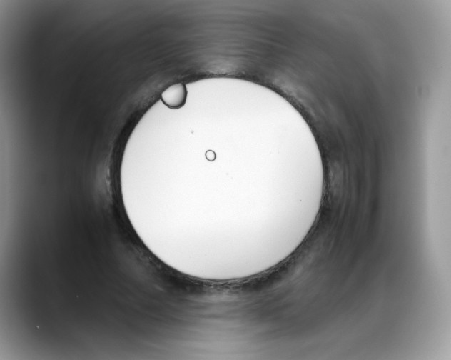 X0000088150682200706111444